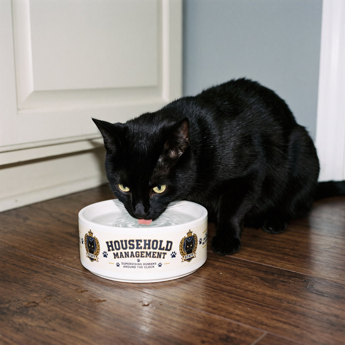 Household Management Official Cat Bowl