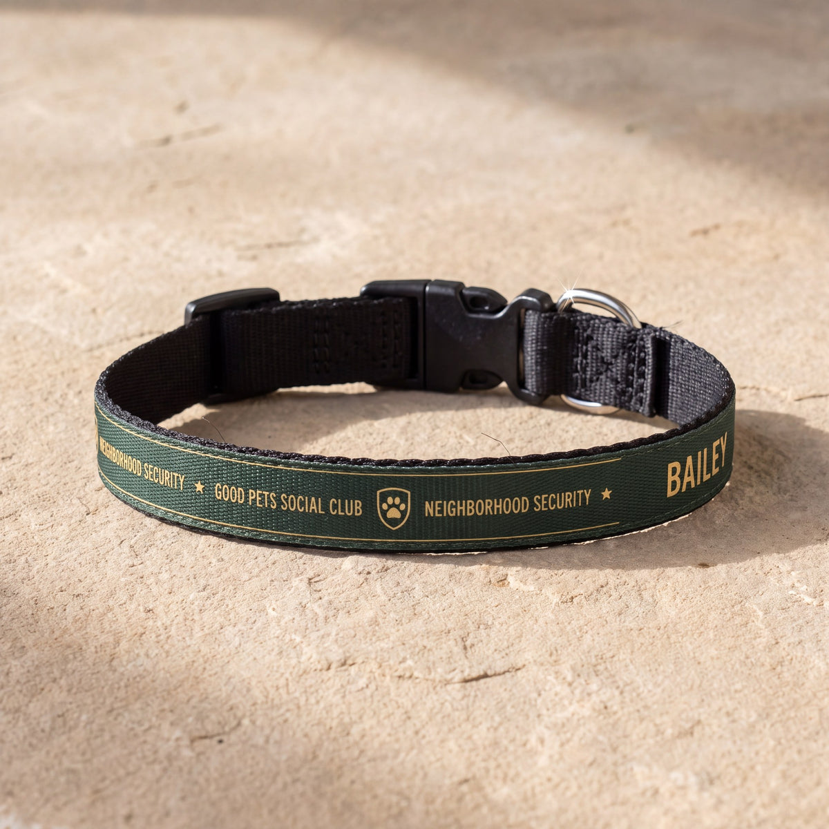 Neighborhood Security Personalized Pet Collar
