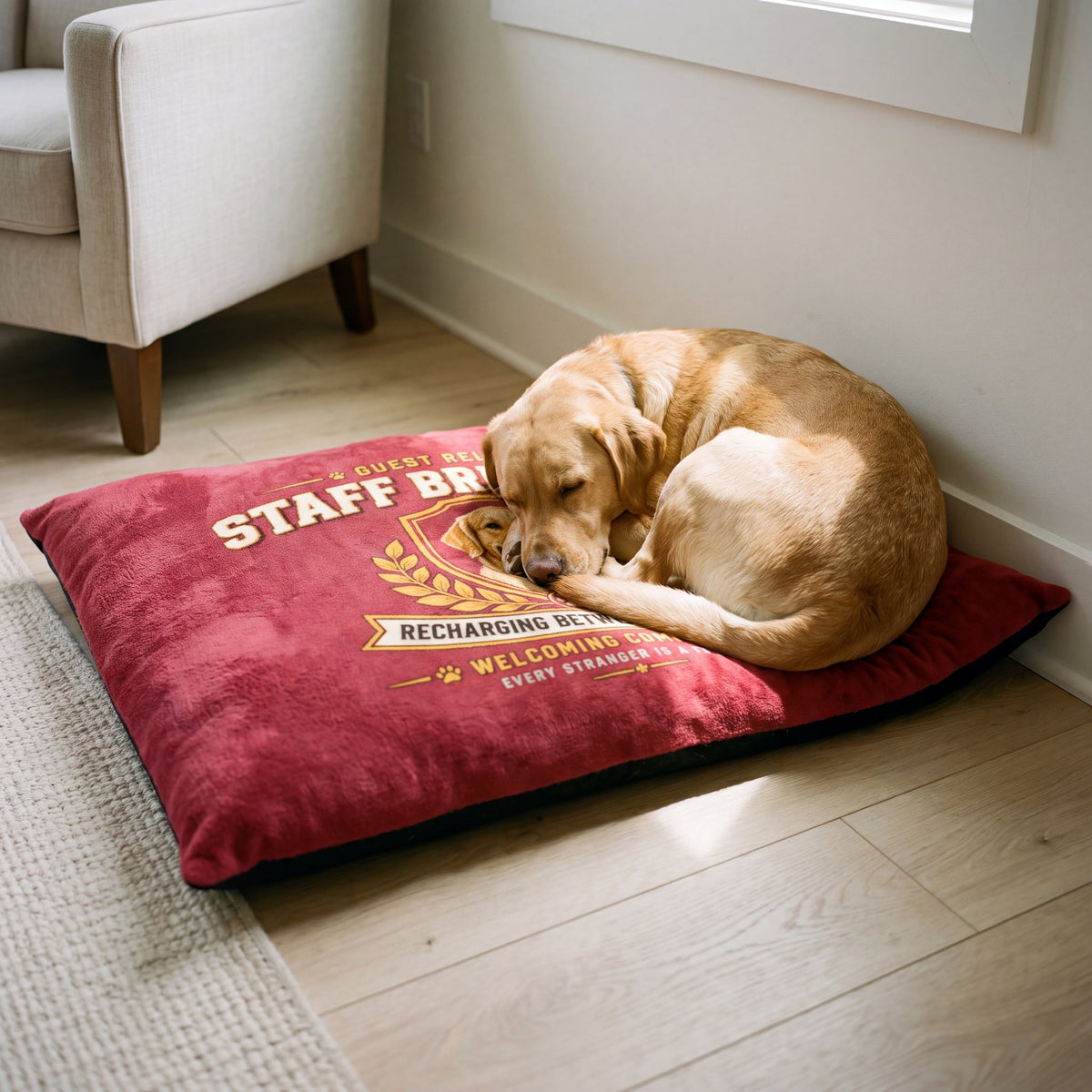 Guest Relations Staff Break Room Pet Bed