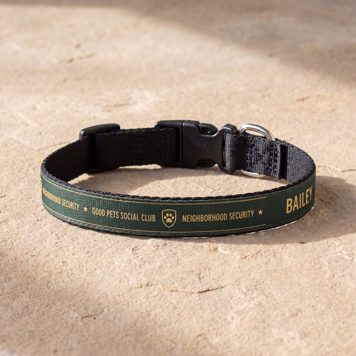 Neighborhood Security Personalized Pet Collar